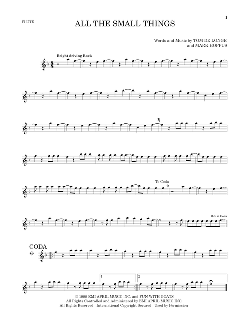 All The Small Things - Blink 182 (Flute Solo)
