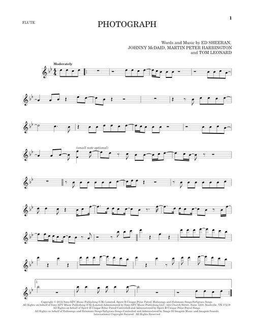 Photograph - Ed Sheeran (Flute Solo)