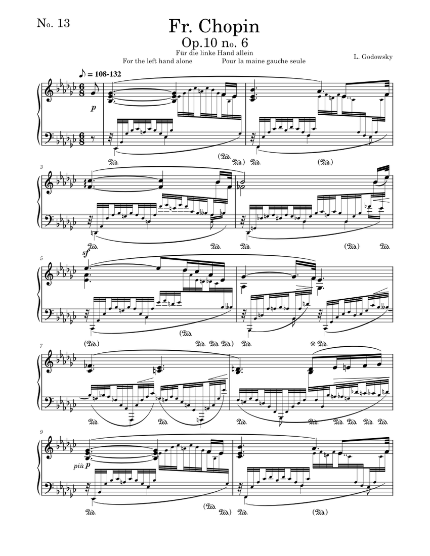 上下巻　GODOWSKY/Chopin Etudes Chopin-Godowsky - Studies on Chopin's Études No. 5 in D-flat