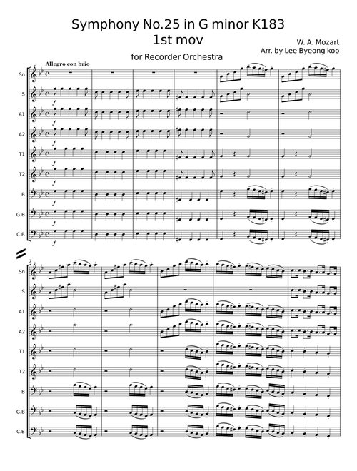 Symphony No.25 in G minor K183 - W. A. Mozart