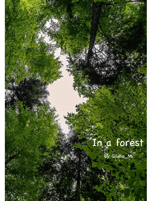 In a forest|Music for piano solo|Read description