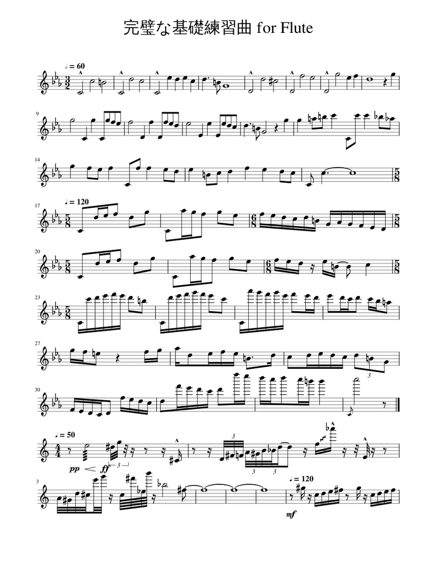 完璧な基礎練習曲_for_Flute Sheet Music for Flute (Solo