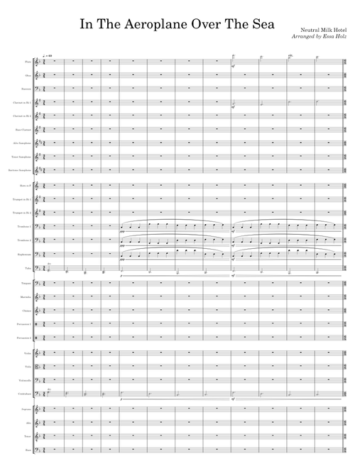 In the aeroplane over the sea – Neutral Milk Hotel (arr. Essa Holz)