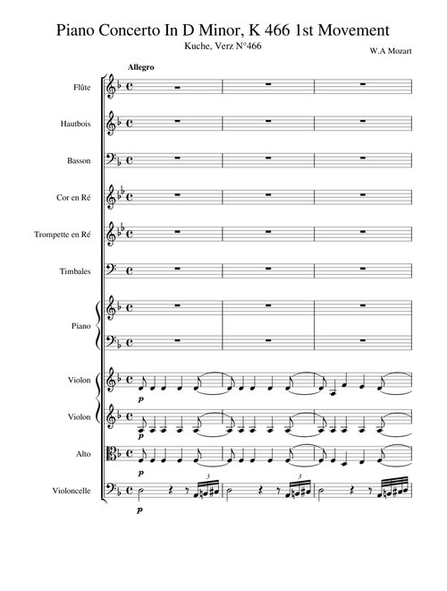 Piano Concerto In D Minor, K 466 1st Movement