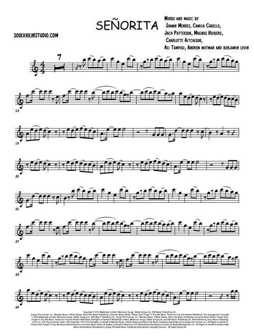 Señorita (Arr. Soul Violin) - Shawn Mendes And Camila Cabello (Violin Solo)