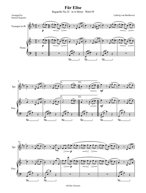 Für Elise (For Elise) - for Trumpet in Bb and Piano accompaniment - with Piano Play along (Arr. Samuel Sequeira) - Ludwig van Beethoven (Trumpet and Piano)
