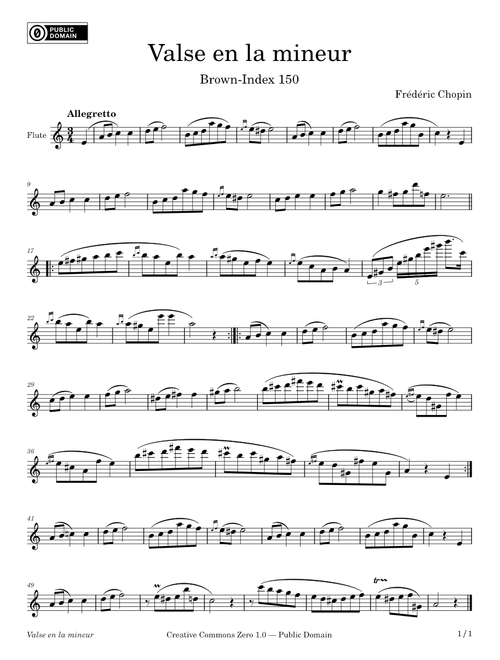 Valse en la mineur – Flute solo – Chopin