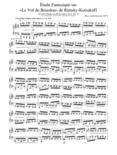 Marc André Hamelin - 12 Ètudes in all the minor keys sheet