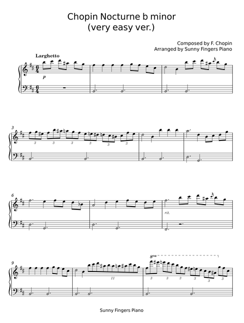Nocturne b minor – F. Chopin