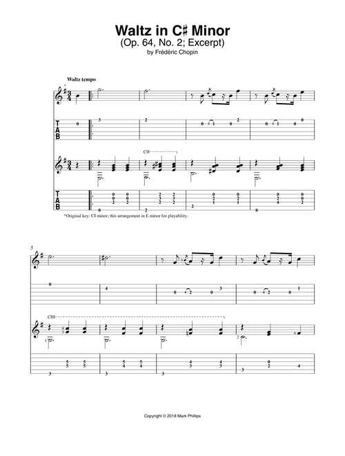 Waltz in C# Minor (Arr. Mark Phillips) - Frédéric Chopin (Instrumental Duet)