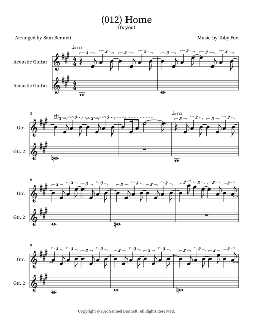 (012) Home (Arr. Sam Bennett) - Toby Fox (Instrumental Duet)