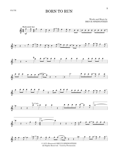 Born To Run - Bruce Springsteen (Flute Solo)