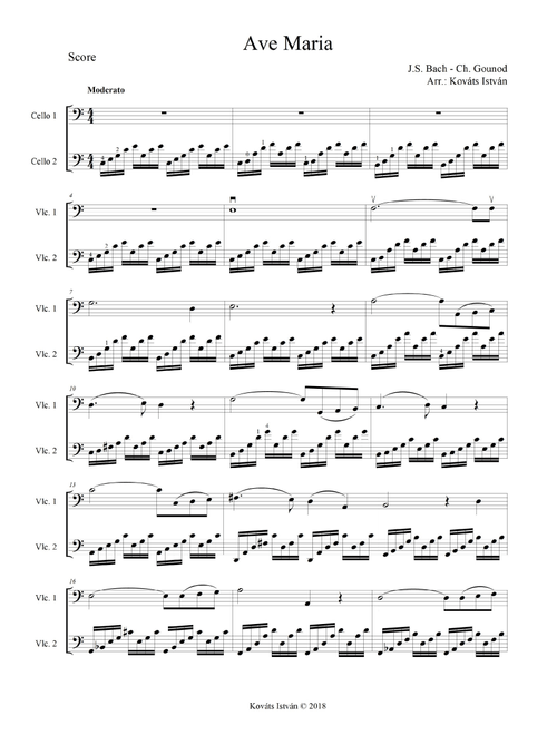 Ave Maria for 2 cellos (Arr. Kováts István) - Johann Sebastian Bach, Charles Gounod (Cello Duet)