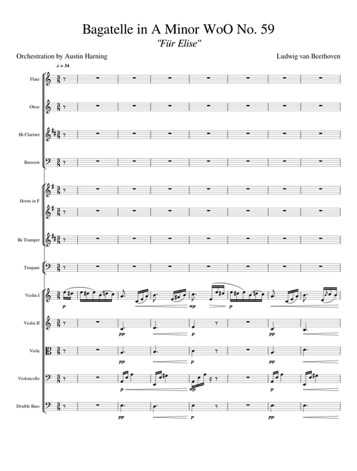 Für Elise, for Classical Orchestra