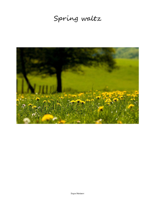 Spring waltz (Arr. Yevhen Martianov) (Chamber Orchestra)