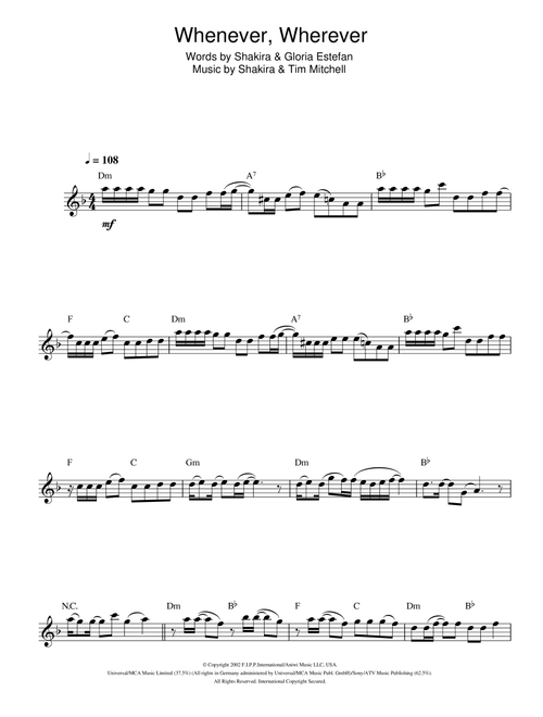 Whenever, Wherever - Shakira (Flute Solo)