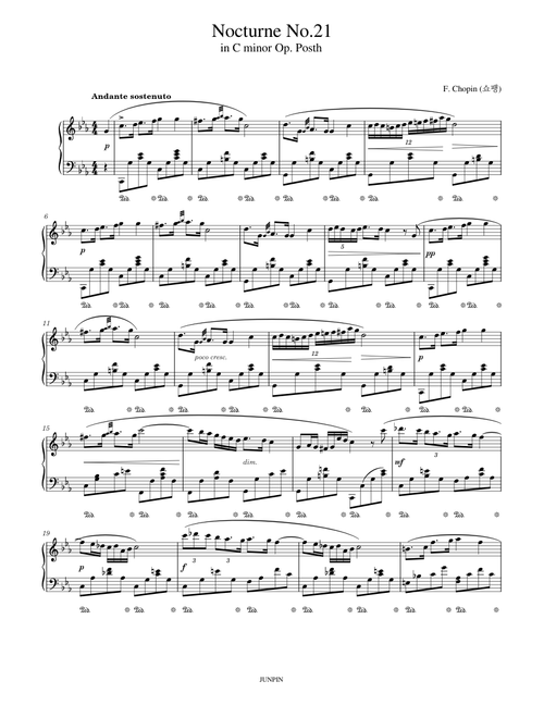Nocturne No.21 in C minor Op. Posth - F. Chopin