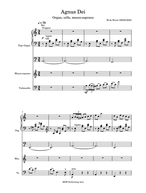 Agnus Dei - Marius de Bruin (Lead Sheet - Fake Book)