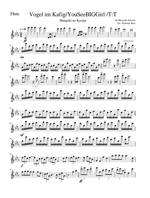 Flute Solo You See Big Girl / Vogel im Kafig