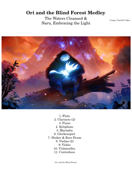 Embracing the Light - Ori and the Blind Forest