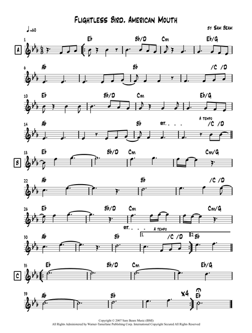 Flightless Bird, American Mouth (Arr. Lef Germenlis) - Iron & Wine (Lead Sheet - Fake Book)