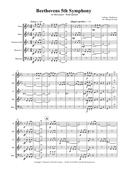 Beethovens 5th Symphony - 1st Movement - Wind Quintet (Arr. Thomas H. Graf) - LV Beethoven (Woodwind Ensemble)