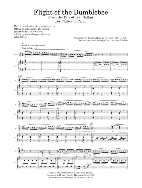 Solo Flute Book sheet music by Fercorndaflautist | Play, print