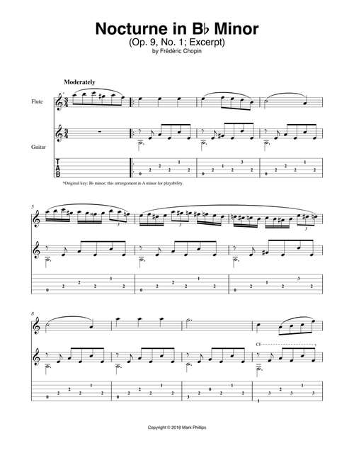 Nocturne in B-flat Minor (Op. 9, No. 1) (Arr. Mark Phillips) - Frédéric Chopin (Instrumental Duet)