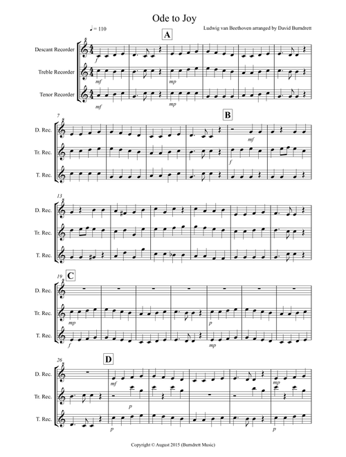 Ode to Joy for Recorder Trio (Arr. David Burndrett) - Ludwig van Beethoven (Recorder Solo)