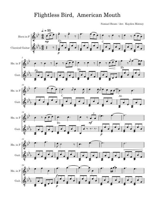 Flightless Bird,  American Mouth for Solo Horn and Guitar