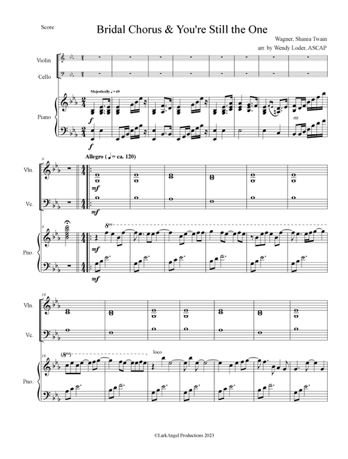 You're Still The One (Arr. Wendy Loder, ASCAP) - Shania Twain (String Ensemble)