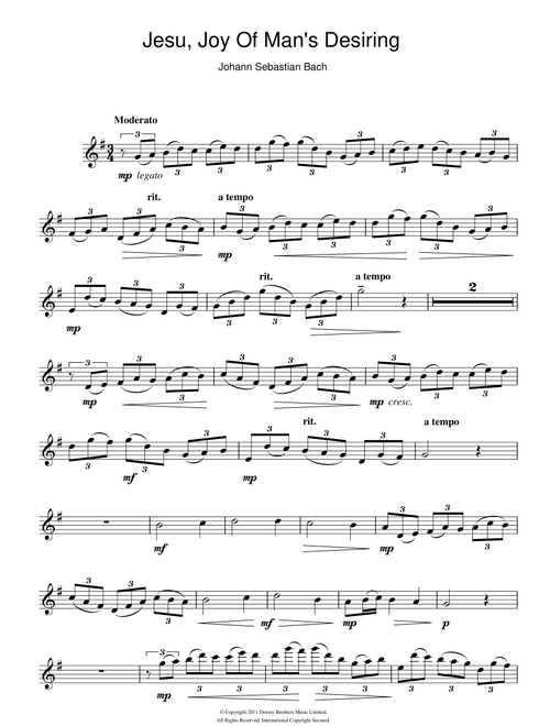 Jesu, Joy Of Man's Desiring - Johann Sebastian Bach (Flute Solo)