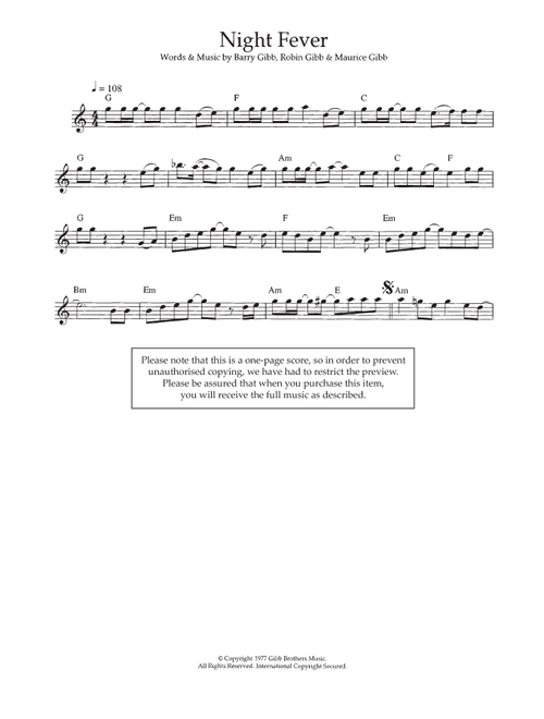 Night Fever - Bee Gees (Flute Solo)