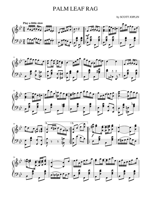 Palm Leaf Rag