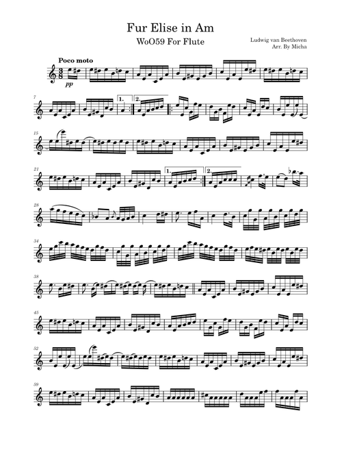 Fur Elise By Beethoven For Flute