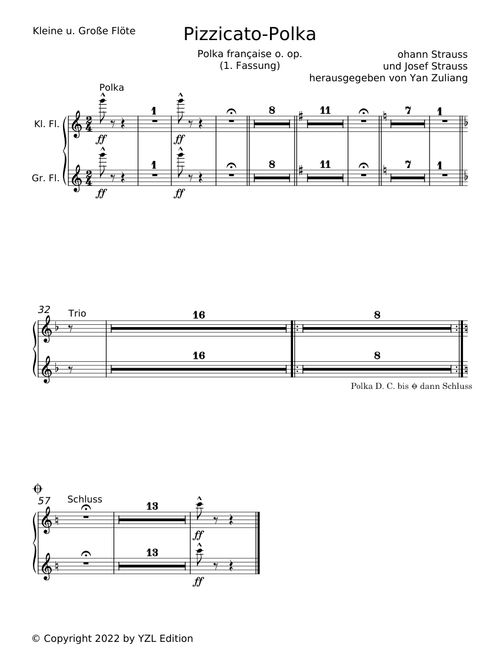 Pizzicato Polka for String Quartet - Johann Strauss Jr.