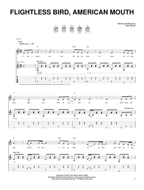 Flightless Bird, American Mouth - Iron & Wine (Easy Guitar)