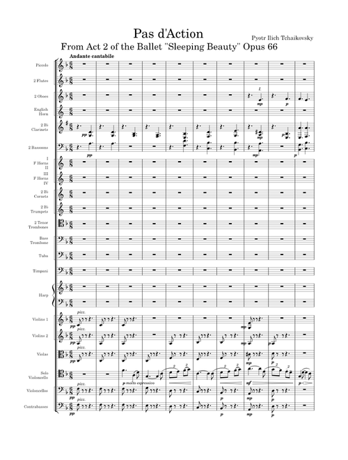 Sleeping Beauty Ballet Opus 66, Pas d'Action (Act 2) - Pyotr Ilich Tchaikovsky