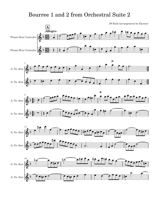 Bourre - Suite Orquestral 2 (Duas Flautas Contralto)