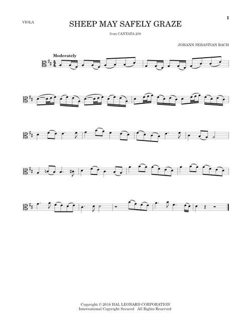 Sheep May Safely Graze - Johann Sebastian Bach (Viola Solo)
