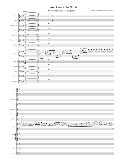 Beethoven - Piano Concerto No. 5 in E-flat major, Op. 73, "Emperor" - 1. Allegro