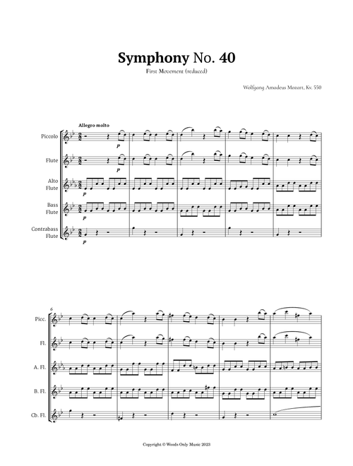 Symphony No. 40 by Mozart for Flute Ensemble Quintet (Arr. Ander) (Woodwind Ensemble)