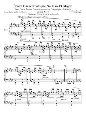 Étude Caractéristique Opus 2 No. 1 in D Minor Sheet Music for