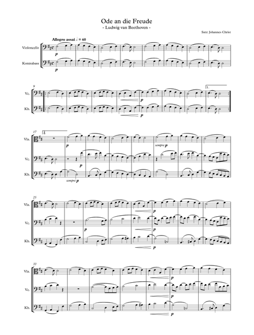 Ode an die Freude (Freude schöner Götterfunke) (Arr. Johannes Christ) - Ludwig van Beethoven (String Ensemble)