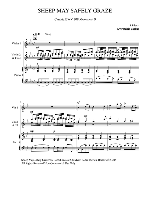 Sheep May Safely Graze, BWV 208 For Small Ensemble – Johann Sebastian Bach
