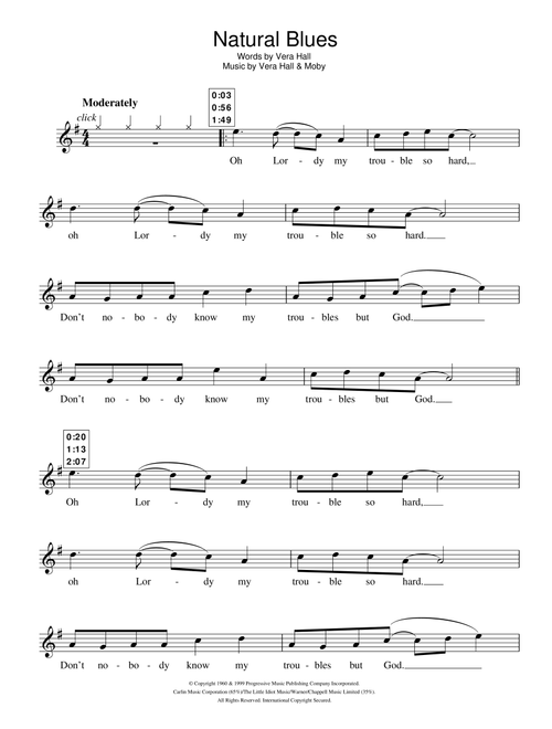 Natural Blues - Moby (Recorder Solo)