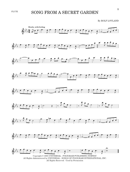 Song From A Secret Garden (Flute Solo)