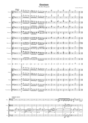 Son nov'ore - Don Pasquale - G. Donizetti - Piano Sheet Music for