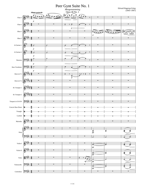 Morning Mood from Peer Gynt Suite No. 1 – Edvard Grieg