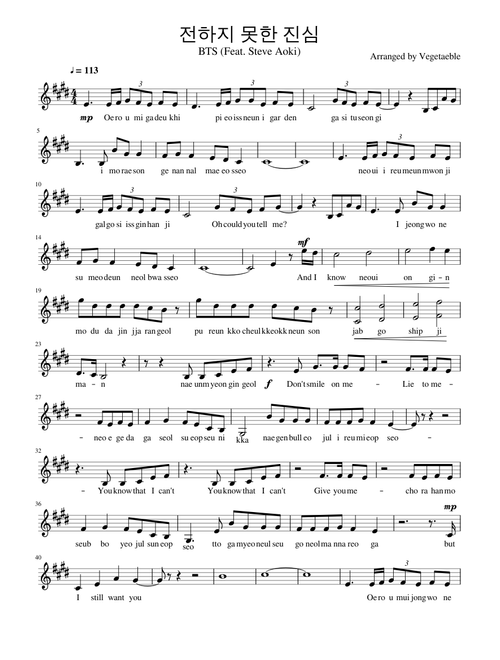 The Truth Untold - BTS Violin Solo Ver.